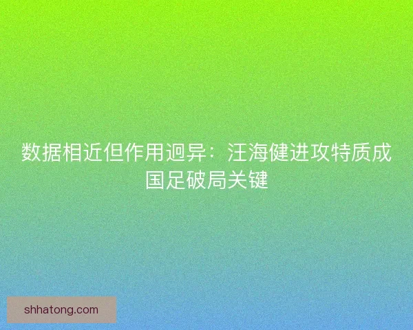 数据相近但作用迥异：汪海健进攻特质成国足破局关键