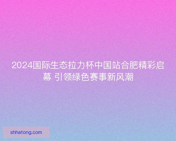2024国际生态拉力杯中国站合肥精彩启幕 引领绿色赛事新风潮