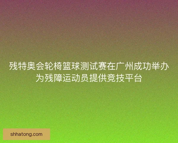 残特奥会轮椅篮球测试赛在广州成功举办为残障运动员提供竞技平台