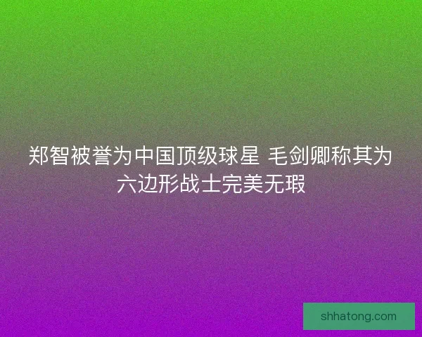 郑智被誉为中国顶级球星 毛剑卿称其为六边形战士完美无瑕