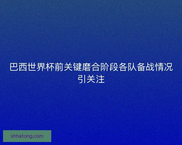 巴西世界杯前关键磨合阶段各队备战情况引关注