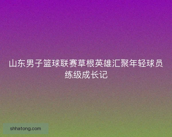 山东男子篮球联赛草根英雄汇聚年轻球员练级成长记 山东男子篮球联赛草根英雄汇聚年轻球员练级成长记